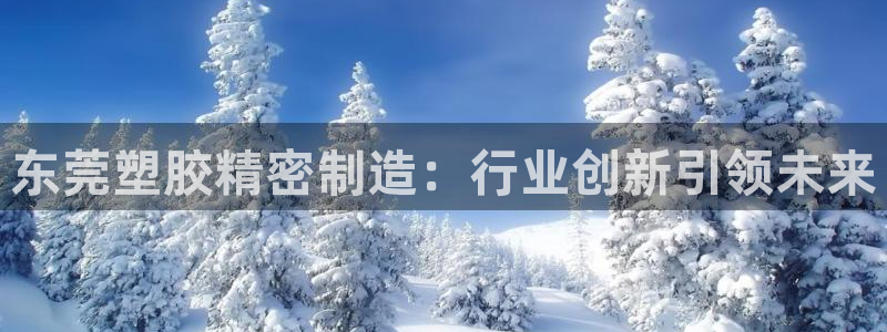 彩神vlll官方网
