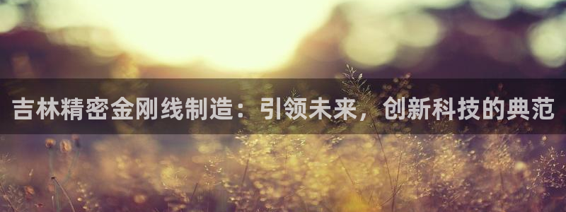 彩神v8是一个什么平台游戏：吉林精密金刚线制造：引领未来，创新科技的典范
