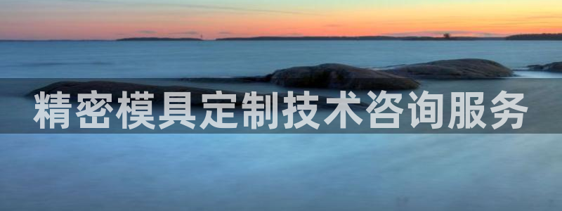 彩神vip购彩：精密模具定制技术咨询服务