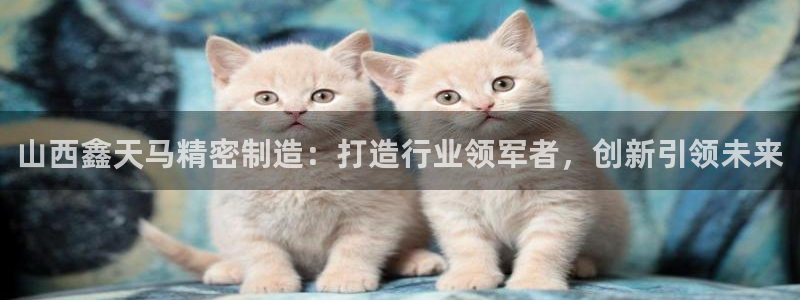 彩神v8有多久了?靠谱吗
