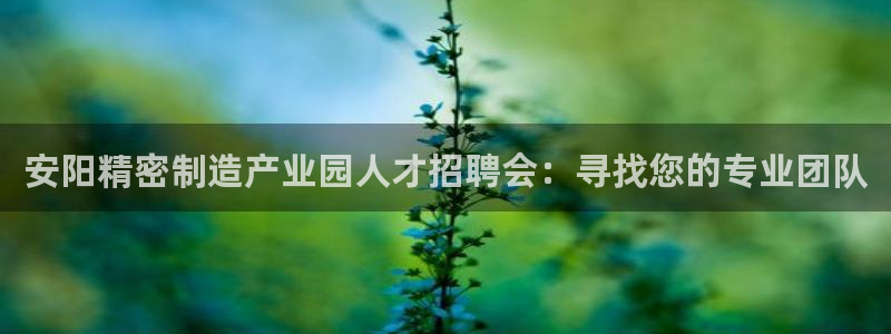 彩神v8购彩大厅登：安阳精密制造产业园人才招聘会：寻找您的专业团队