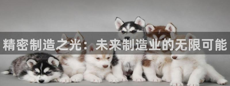 彩神v8下载网址