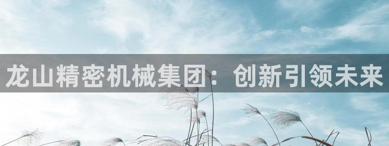 彩神是怎样一个平台赚钱的：龙山精密机械集团：创新引领未来