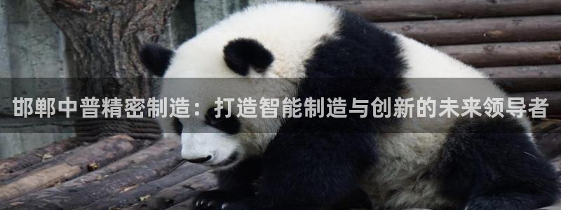 彩神ix官网：邯郸中