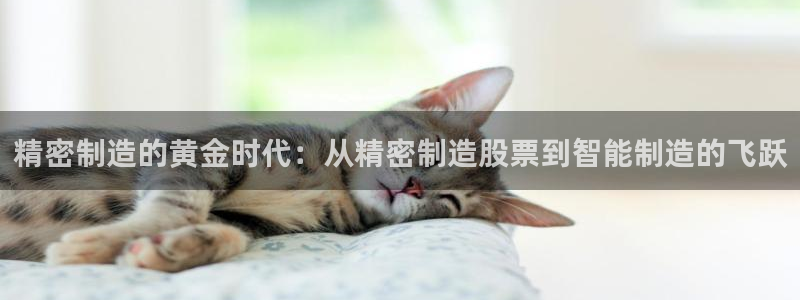 彩神v集团有限公司：精密制造的黄金时代：从精密制造股票到智能制造的飞跃