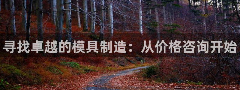 彩神平台之间是什么关系