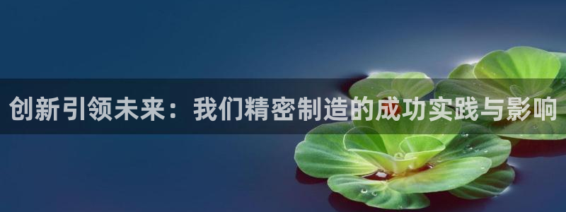 下载彩神通关注码：创新引领未来：我们精密制造的成功实践与影响