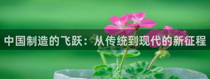 彩神平台注册登录