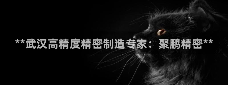 彩神争霸官方登录：**武汉高精度精密制造专家：聚鹏精密**