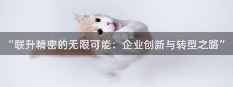 彩神是什么平台：“联升精密的无限可能：企业创新与转型之路”