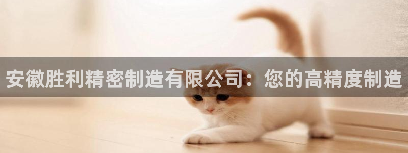 彩神通官方网