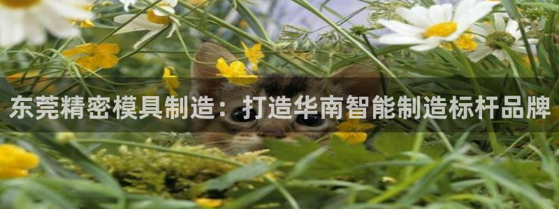 彩神v8iii