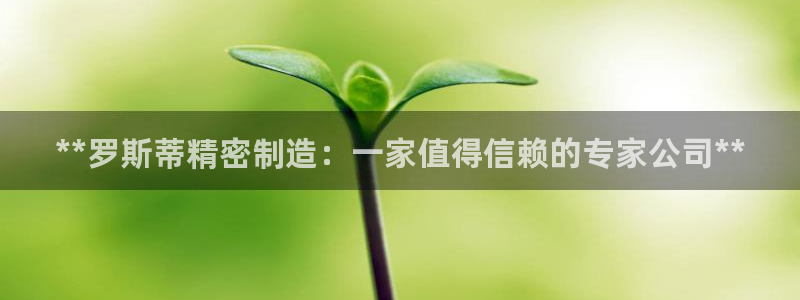 彩神V8有限公司：**罗斯蒂精密制造：一家值得信赖的专家公司**