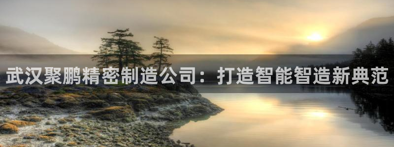 彩神iv争霸购彩大厅：武汉聚鹏精密制造公司：打造智能智造新典范