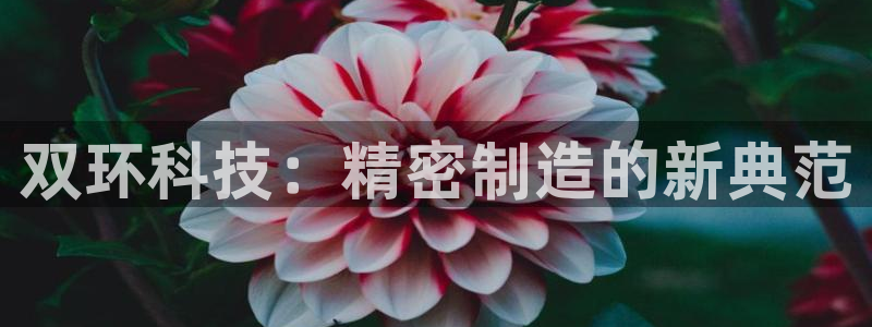 新版彩神v8登录不了：双环科技：精密制造的新典范