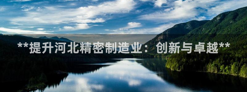 彩神争霸平台：**提升河北精密制造业：创新与卓越**