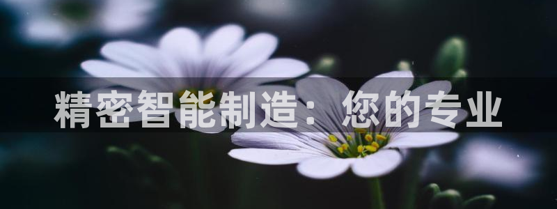 彩神是正规平台吗知乎