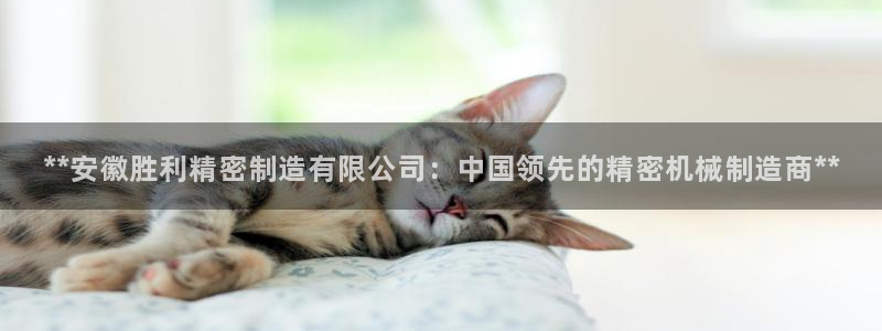 彩神 好 平台：**安徽胜利精密制造有限公司：中国领先的精密机械制造商**