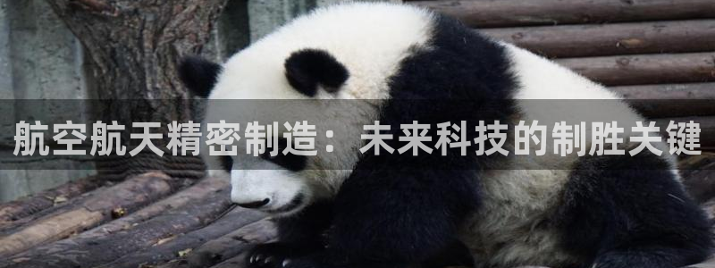 彩神v1官网：航空航天精密制造：未来科技的制胜关键