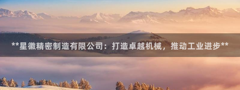 彩神争霸官方下载2017：**星徽精密制造有限公司：打造卓越机械，推动工业进步**