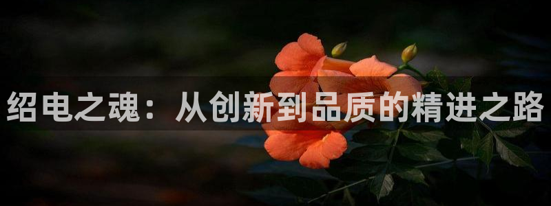 彩神app赚钱是真是假：绍电之魂：从创新到品质的精进之路