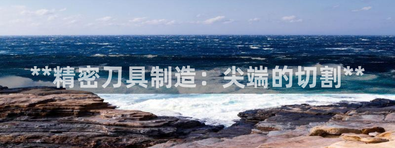 彩神网能赚钱是怎么回事：**精密刀具制造：尖端的切割**