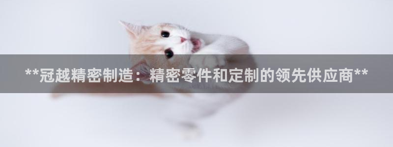 彩神vl购彩大厅：*