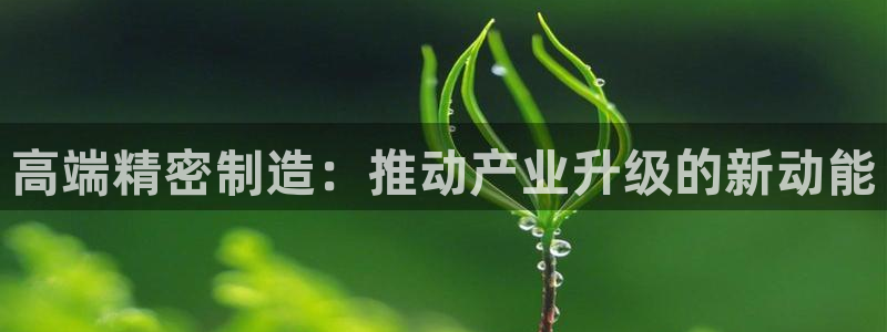 彩神到底能不能赚钱：高端精密制造：推动产业升级的新动能