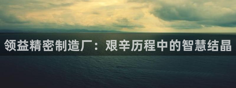 彩神赢了钱登录不上去：领益精密制造厂：艰辛历程中的智慧结晶