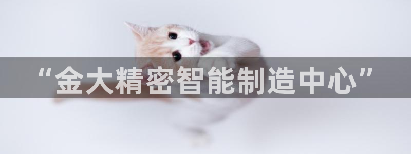 有谁知道彩神争霸的网址：“金大精密智能制造中心”