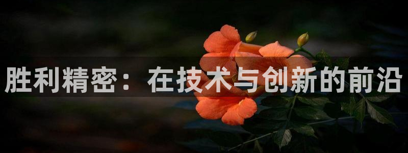 彩神争霸官网登录平台