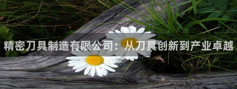 彩神v网赌软件下载