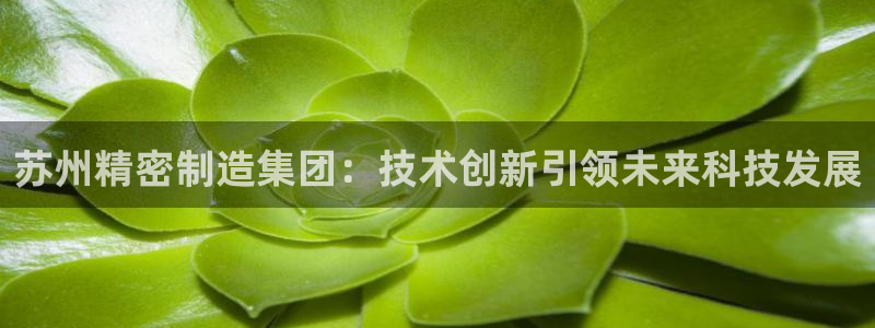 彩神是怎样一个平台赚钱的