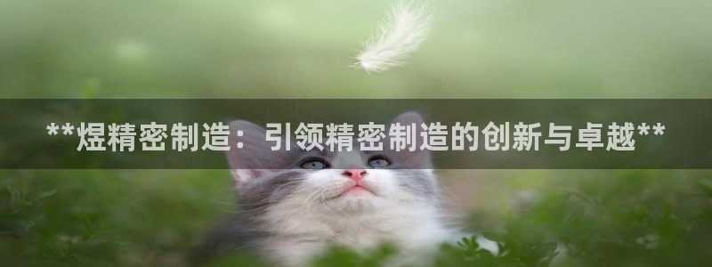 彩神购彩-购彩大厅入口：**煜精密制造：引领精密制造的创新与卓越**