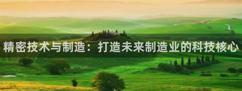 彩神是怎样一个平台赚钱的：精密技术与制造：打造未来制造业的科技核心