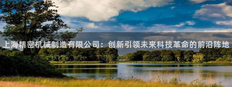 彩神8官网版是正规的吗：上海精密机械制造有限公司：创新引领未来科技革命的前沿阵地