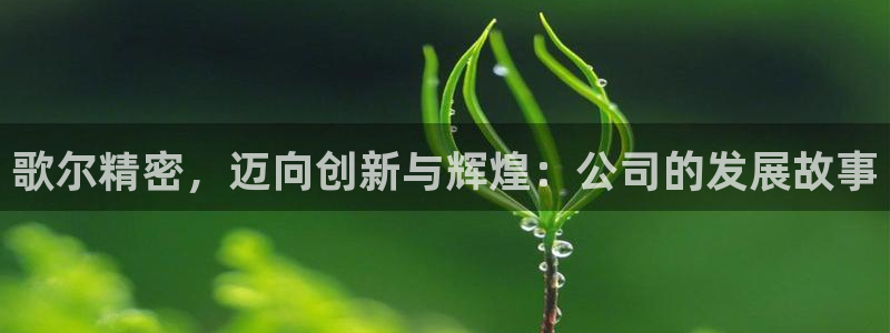彩神vll首页环球：歌尔精密，迈向创新与辉煌：公司的发展故事