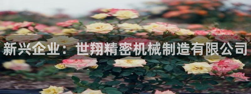 彩神大发黑平台：新兴企业：世翔精密机械制造有限公司