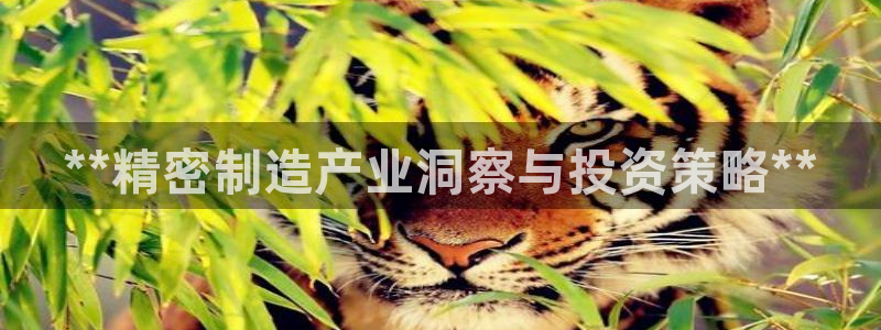 彩神v破解版：**精密制造产业洞察与投资策略**