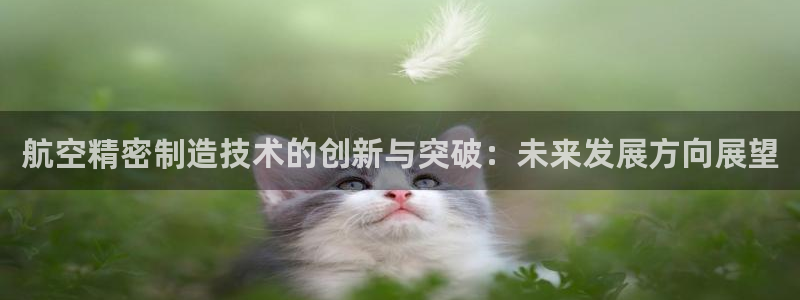 彩神velcome购彩大厅：航空精密制造技术的创新与突破：未来发展方向展望