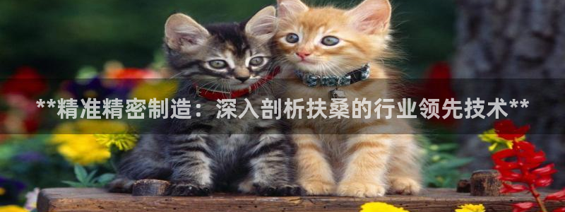 彩神网能赚钱是怎么回事：**精准精密制造：深入剖析扶桑的行业领先技术**