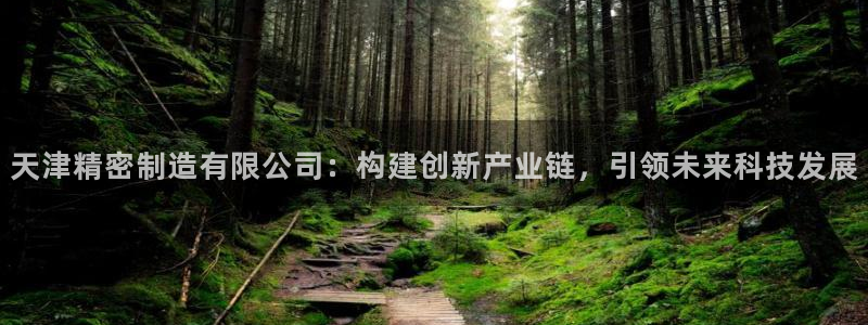 下载彩神乐发V：天津精密制造有限公司：构建创新产业链，引领未来科技发展