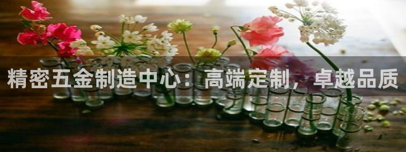 彩神官方邀请码是多少：精密五金制造中心：高端定制，卓越品质