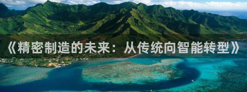 彩神网能赚钱是怎么回事：《精密制造的未来：从传统向智能转型》
