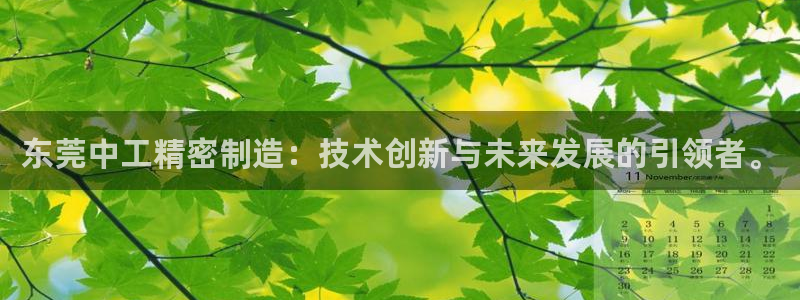 彩神V购彩大厅：东莞中工精密制造：技术创新与未来发展的引领者。