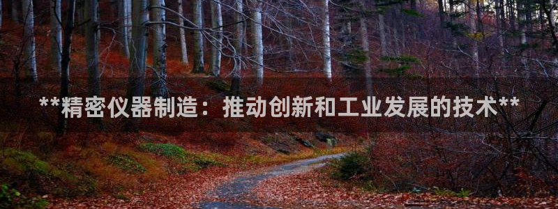 彩神购彩-购彩大厅入口36fr：**精密仪器制造：推动创新和工业发展的技术**