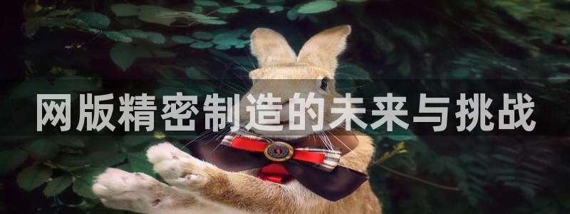 彩神大发如何观察走势：网版精密制造的未来与挑战