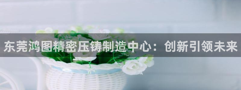 彩神大发三期计划网站：东莞鸿图精密压铸制造中心：创新引领未来