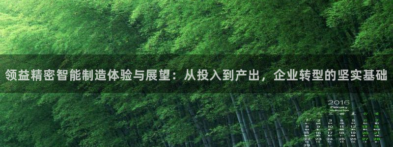 彩神平台是真的吗：领益精密智能制造体验与展望：从投入到产出，企业转型的坚实基础