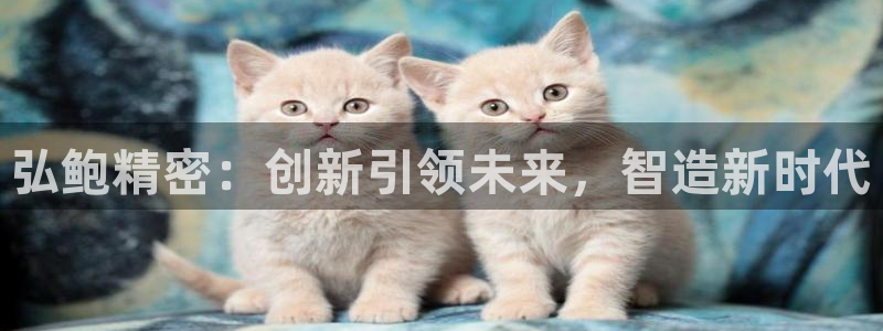 彩神iv能赚钱吗：弘鲍精密：创新引领未来，智造新时代